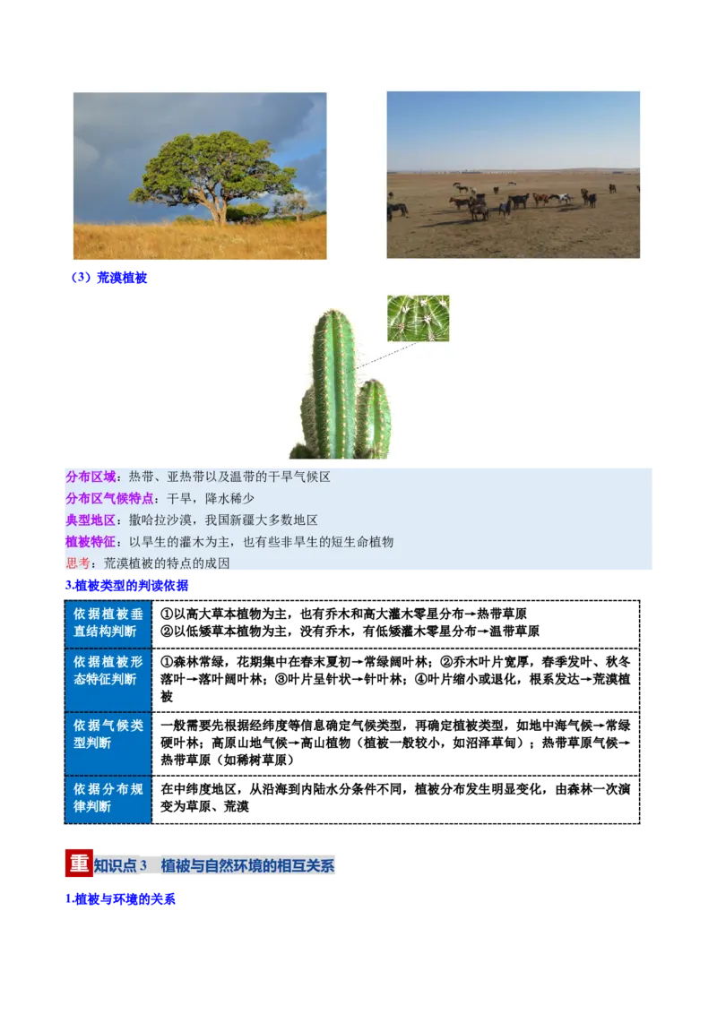 《第16讲植被与土壤（复习讲义）（全国通用）（学生版）_地理_2026年_2026年高考地理一轮复习讲义+练习+课件（新教材新高考）-G55_2026版_专题06自然环境的整体性与差异性》第10页预览