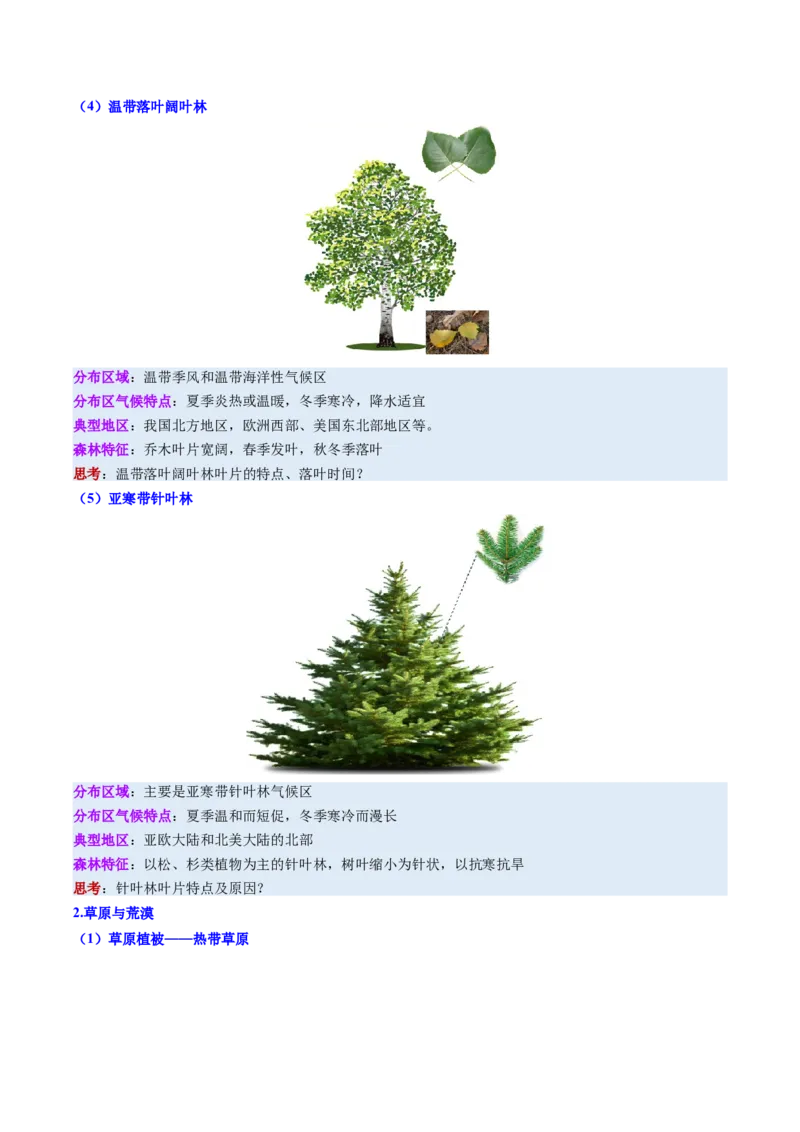 《第16讲植被与土壤（复习讲义）（全国通用）（学生版）_地理_2026年_2026年高考地理一轮复习讲义+练习+课件（新教材新高考）-G55_2026版_专题06自然环境的整体性与差异性》第8页预览