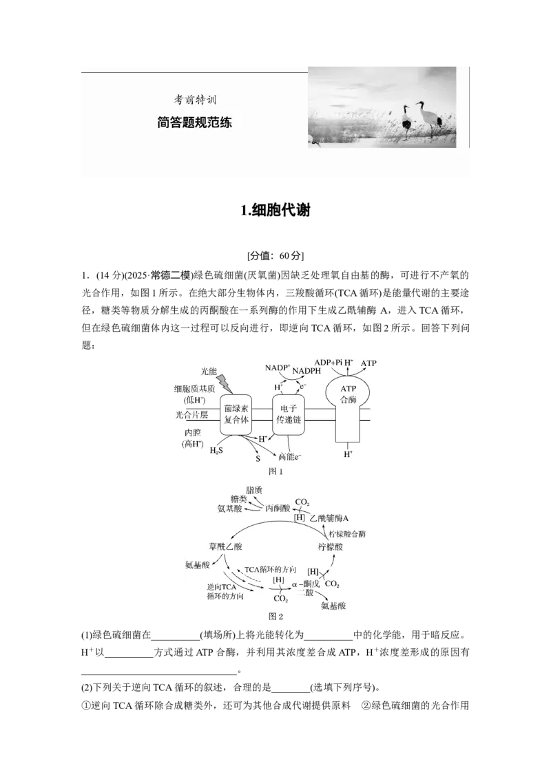 《1.细胞代谢(1)_2026版高中《二三轮复习+冲刺复习》_高考生物生物二轮2026届高考生物步步高大二轮专题复习教师用书(word版)+教师用书配套PPT+题库(word版)(完整版)_考前特训》第1页预览