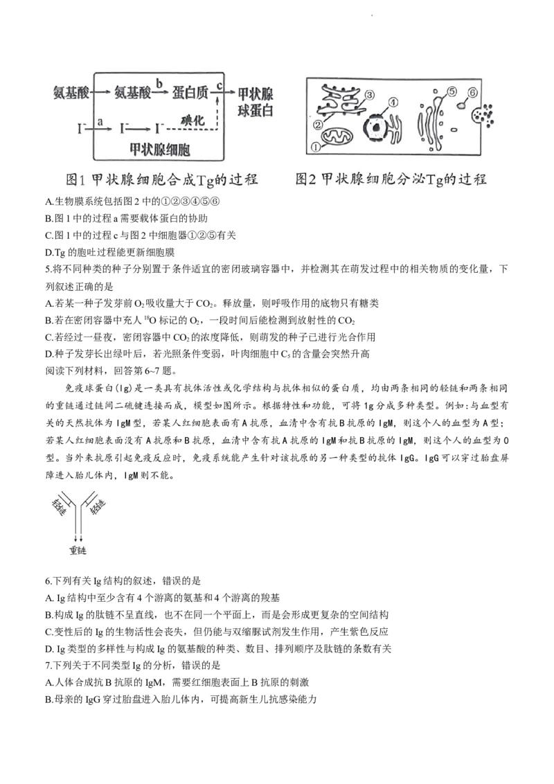 《4_2023届湖北省八市高三（3月）联考生物试题_2025版教学资源包_（总复习系列）2025版《5年高考3年模拟》新高考版A版（⭐全科）_2025版.新高考版.选考总复习.生物.5·3A版_2_资源拓展》第2页预览