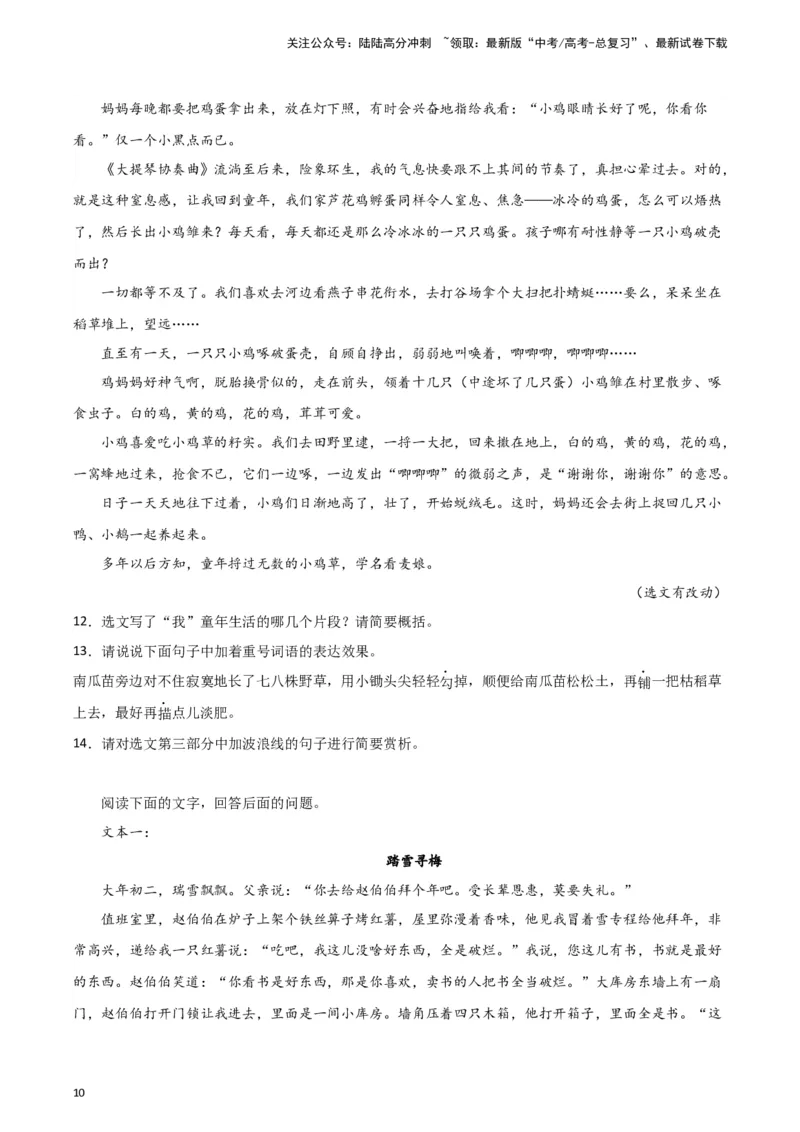 《题型12现代文阅读II叙述性散文（巩固训练）（原卷版）_专项复习_2024年_2024年高考语文常考题型练习题训练巩固试题专练习_资料》第10页预览