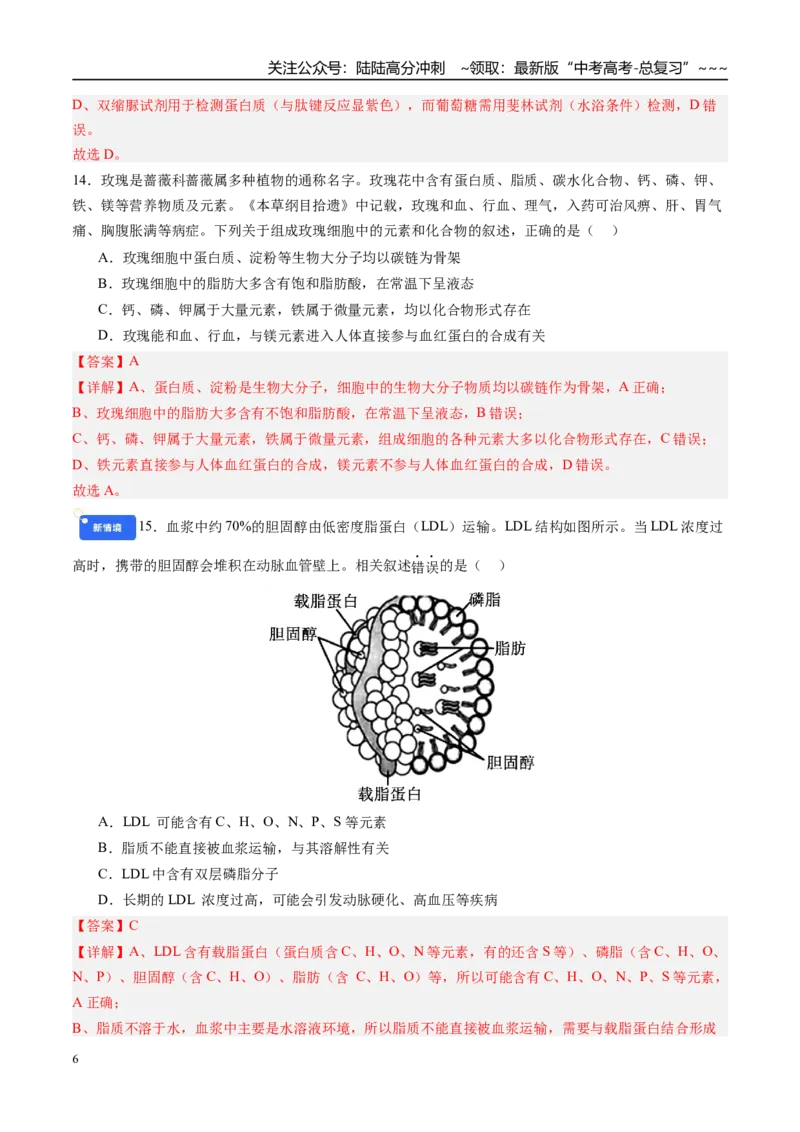 《第一单元细胞的概述及其组成分子（综合训练）（四川专用）（教师版）_06-生物-高考总复习_一轮复习_2026年-生物高考一轮复习_2026年高考生物一轮课件+讲义+练习（四川专用）-G335》第6页预览