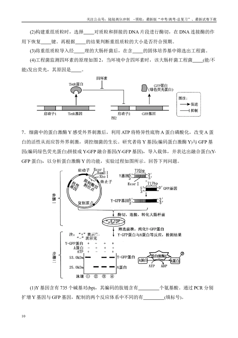 《（消灭易错）生物技术与生物工程的科学前沿易错（学生版）（4大题组）_06-生物-高考总复习_专项复习_2025年_2025年高考生物考试易错题（新高考通用）》第10页预览