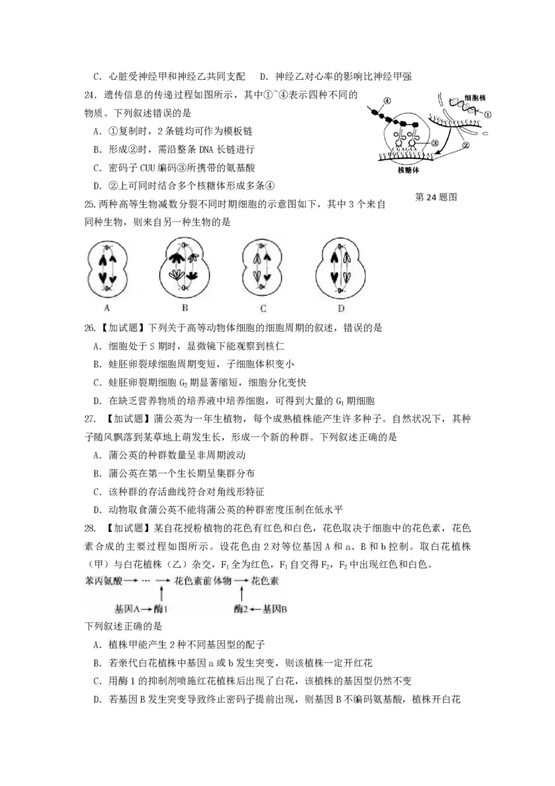 《2016年浙江省高考生物4月（含解析版）(1)_高考一二三轮复习_生物_2027年高考生物专项_2008年-2026年生物高考真题-G427_2008-2020年高考_地方卷_浙江高考生物08-21_A4word版_PDF版（赠送）》第4页预览