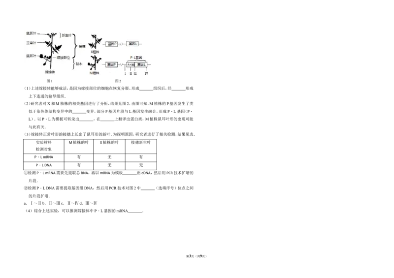 《2016年北京市高考生物试卷（含解析版）(1)_高考一二三轮复习_生物_2027年高考生物专项_2008年-2026年生物高考真题-G427_2008-2020年高考_地方卷_北京高考生物08-21_A3word版》第3页预览