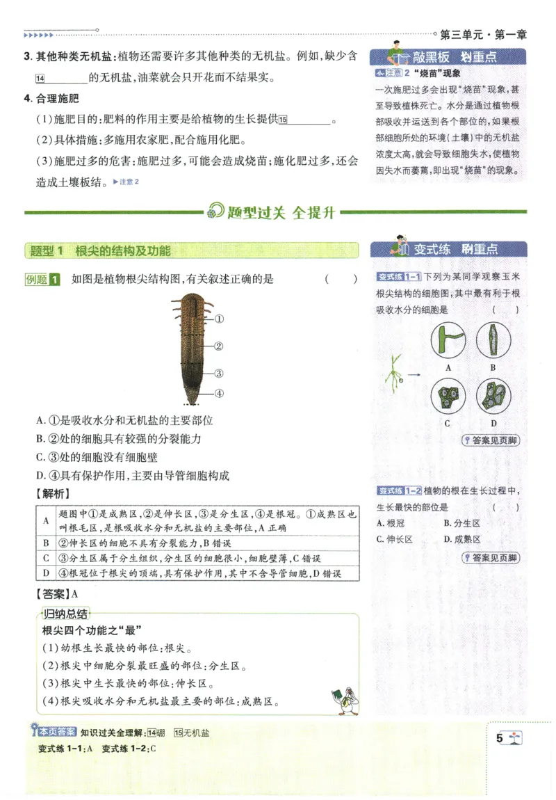 《2026春《初中必刷题》生物RJ7下狂K重点_2026版初中《必刷题》7-9年级上下册册（全科）（多版本合集）_初中必刷题下册_2026版初中《必刷题》7年级下册（全科）》第9页预览