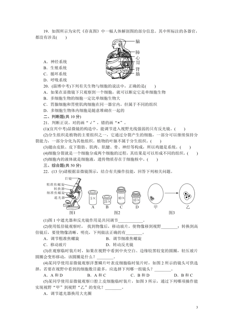 《2.第3、4章检测卷（带答案）_00_初高中资料库_初中资料库（转存避免链接过期失效）_初中生物》第3页预览