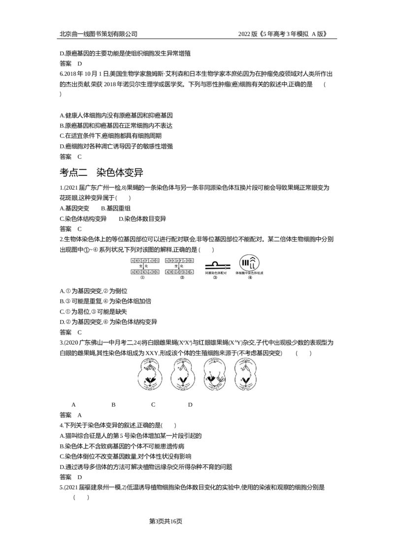 《试题部分WORD—基础集训、综合集训_2022版教学资源包_五年高考三年模拟_2022版新高考版选考总复习生物5·3A版_0125143739_专题13生物的变异_试题部分WORD_试题部分WORD—基础集训、综合集训》第3页预览
