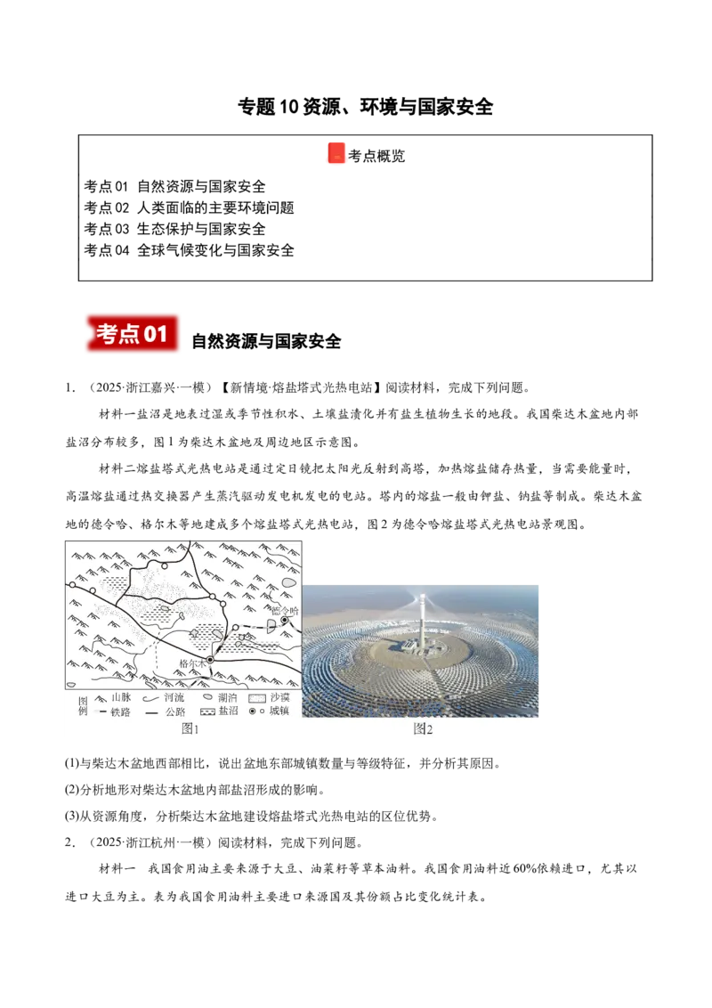 《专题10资源、环境与国家安全（高频非选择题）（学生版）_地理_2026年-地理高考专项复习_2025年高考地理一模试题分类汇编（新高考通用）》第1页预览