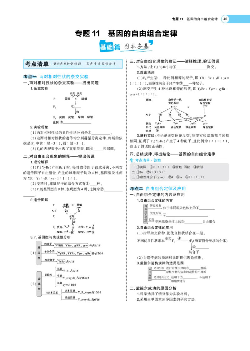 《1_22版专题11　基因的自由组合定律(1)_2023版教学资源包_2023版新高考版选考总复习生物5·3A版_12_专题十二基因的自由组合定律_6_专题考点精析》第1页预览