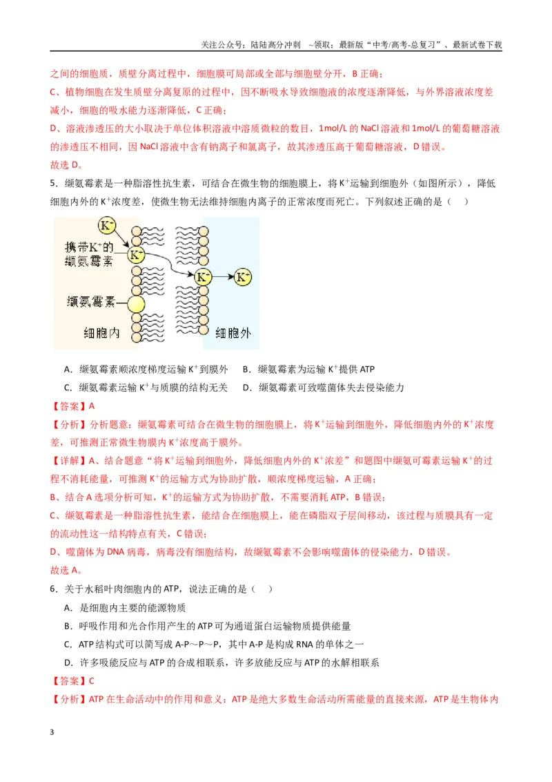《黄金卷04（新教材单科）-2024年高考生物模拟卷（全国卷专用）（解析版）_06-生物-高考总复习_一轮复习_2024年_2024年高考生物一模拟卷（全国卷专用）》第3页预览