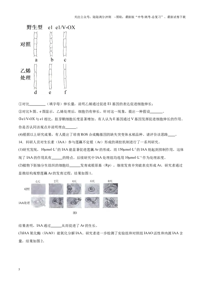 《高考冲刺小卷9-内环境稳态及植物生命活动的调节知识点专项练习（原卷版）(1)_06-生物-高考总复习_专项复习_2024年_2024年高考生物考前专项冲刺小卷（全国通用）_资料》第5页预览