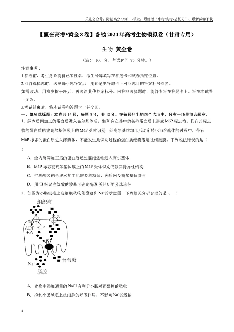 《黄金卷（考试版）-2024年高考生物模拟卷（甘肃专用）_06-生物-高考总复习_一轮复习_2024年_2024年高考生物一模拟卷（新高考七省专用）》第1页预览