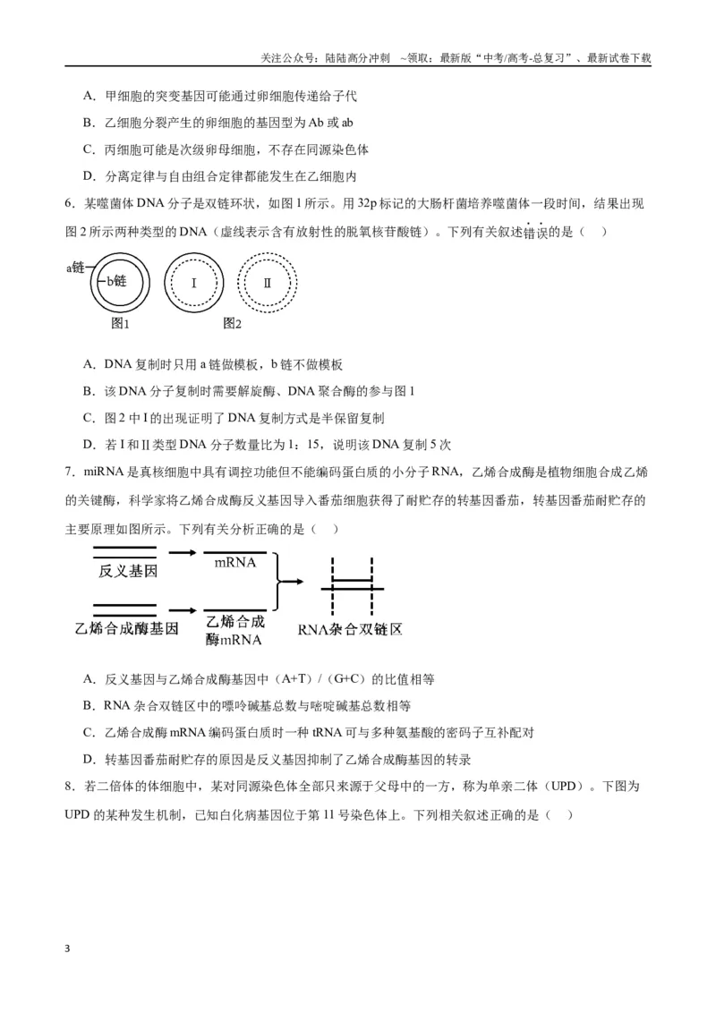 《黄金卷（考试版）-2024年高考生物模拟卷（甘肃专用）_06-生物-高考总复习_一轮复习_2024年_2024年高考生物一模拟卷（新高考七省专用）》第3页预览