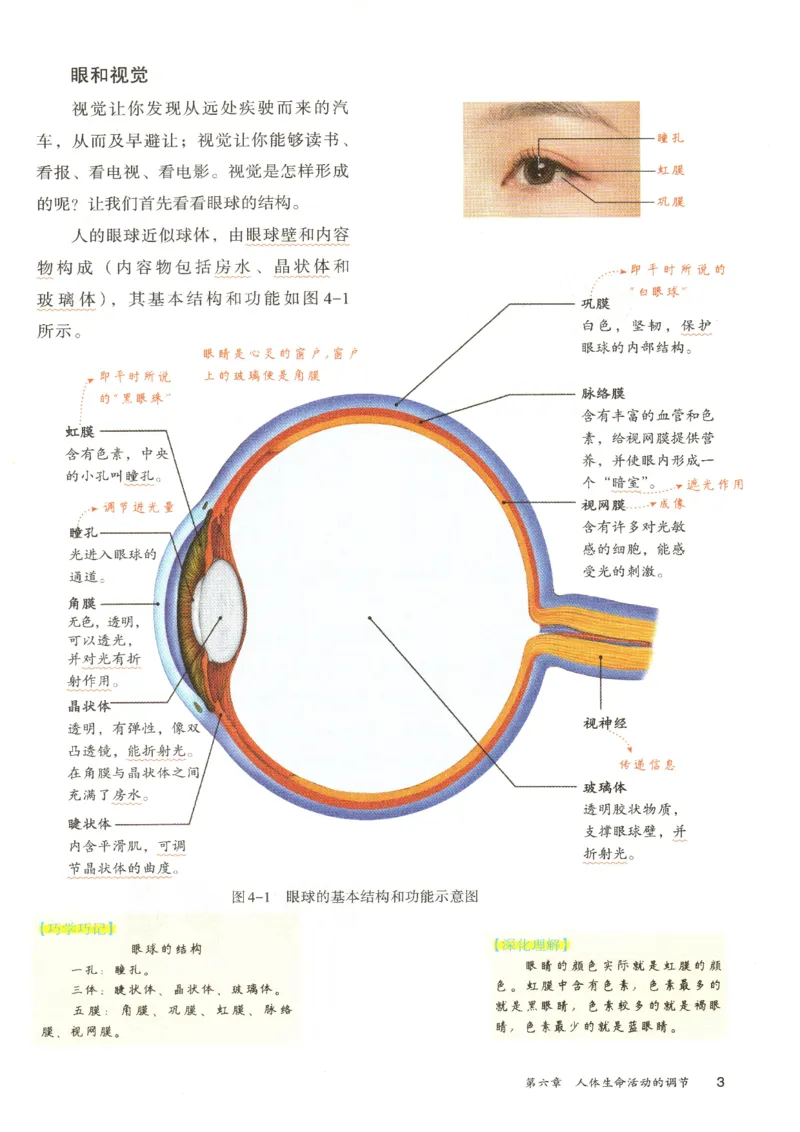 《2026版《课堂笔记》8上生物（人教版）_2026秋初中教辅合集_2027课堂笔记系列_2026版《课堂笔记》8上合集》第7页预览