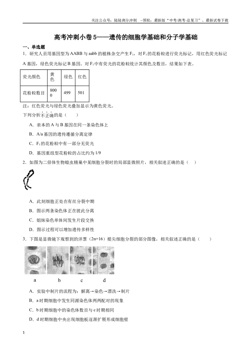 《高考冲刺小卷5-遗传的细胞学基础和分子学基础知识点专项练习（原卷版）_06-生物-高考总复习_专项复习_2024年_2024年高考生物考前专项冲刺小卷（全国通用）_资料》第1页预览