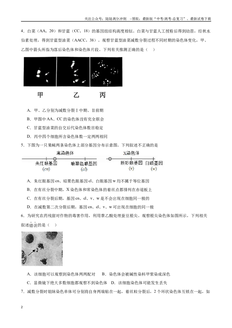 《高考冲刺小卷5-遗传的细胞学基础和分子学基础知识点专项练习（原卷版）_06-生物-高考总复习_专项复习_2024年_2024年高考生物考前专项冲刺小卷（全国通用）_资料》第2页预览