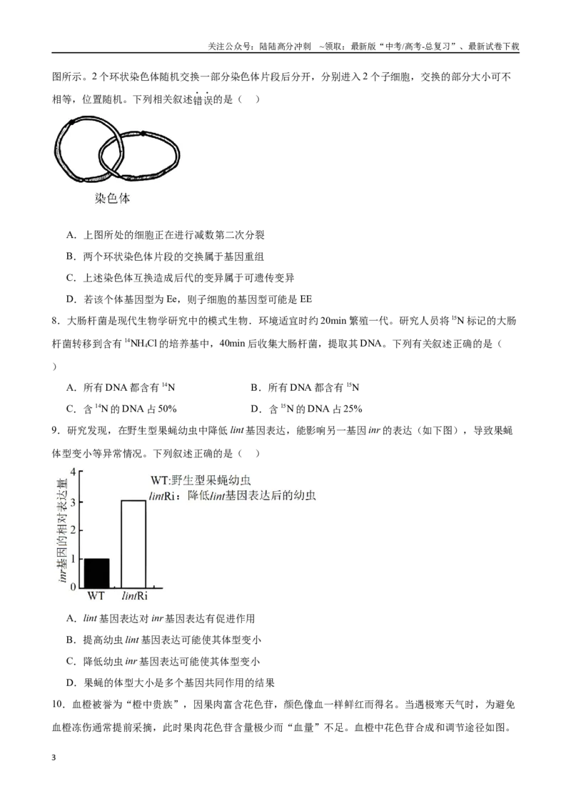 《高考冲刺小卷5-遗传的细胞学基础和分子学基础知识点专项练习（原卷版）_06-生物-高考总复习_专项复习_2024年_2024年高考生物考前专项冲刺小卷（全国通用）_资料》第3页预览