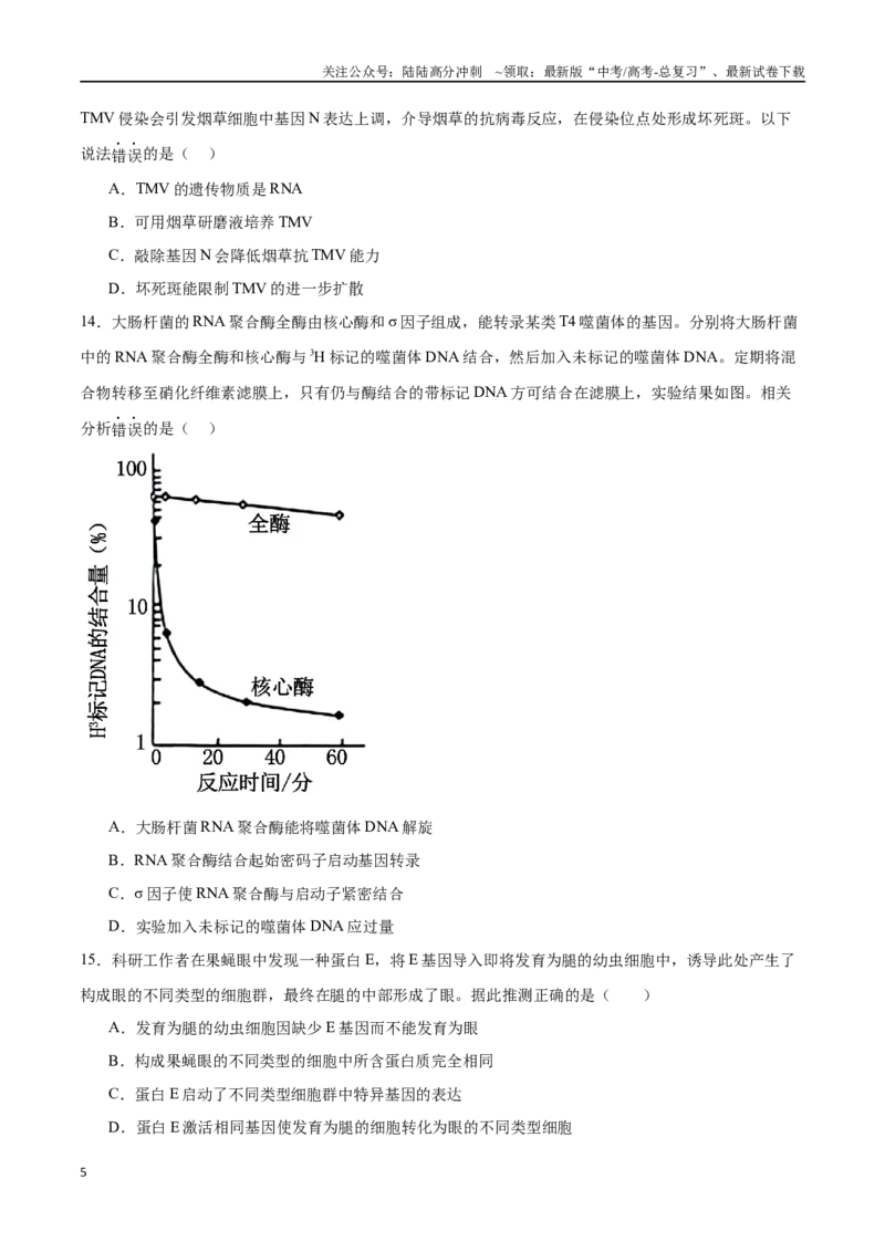 《高考冲刺小卷5-遗传的细胞学基础和分子学基础知识点专项练习（原卷版）_06-生物-高考总复习_专项复习_2024年_2024年高考生物考前专项冲刺小卷（全国通用）_资料》第5页预览