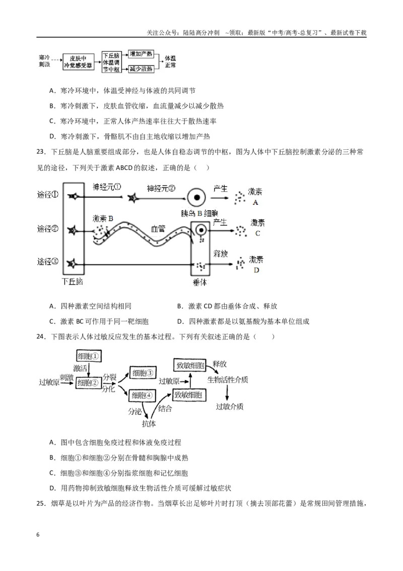 《黄金卷02（考试版）-2024年高考生物模拟卷（老教材）（全国卷专用）_06-生物-高考总复习_一轮复习_2024年_2024年高考生物一模拟卷（全国卷专用）》第6页预览