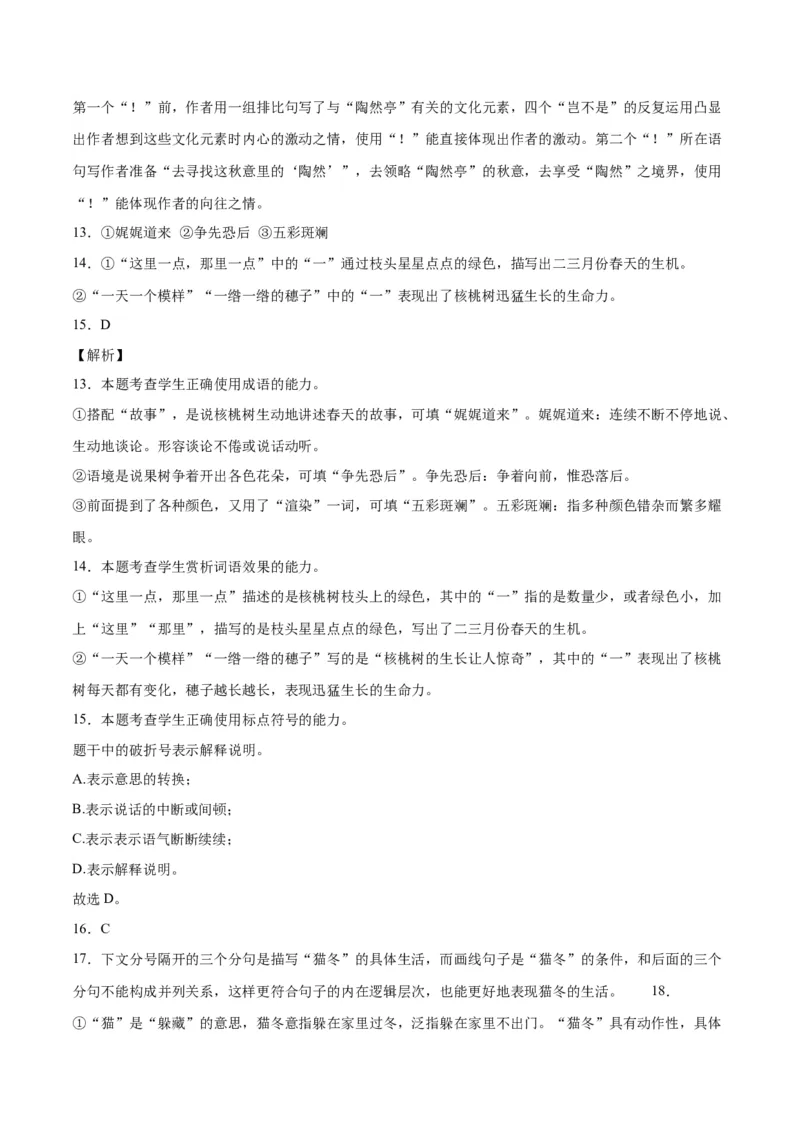 《08标点符号（全解全析）_语文_二轮复习_2025年_2025年新高考语文二轮复习高频考点重难点强化训练卷_资料》第5页预览