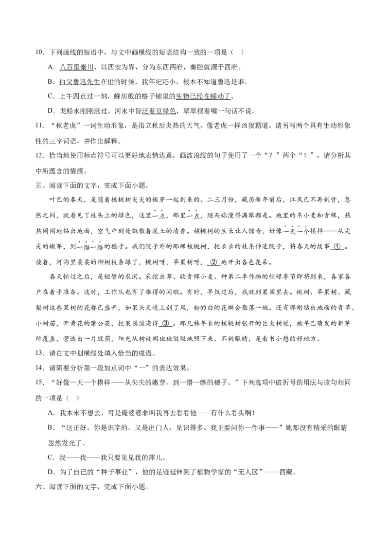 《08标点符号（原卷版）_语文_二轮复习_2025年_2025年新高考语文二轮复习高频考点重难点强化训练卷_资料》第4页预览