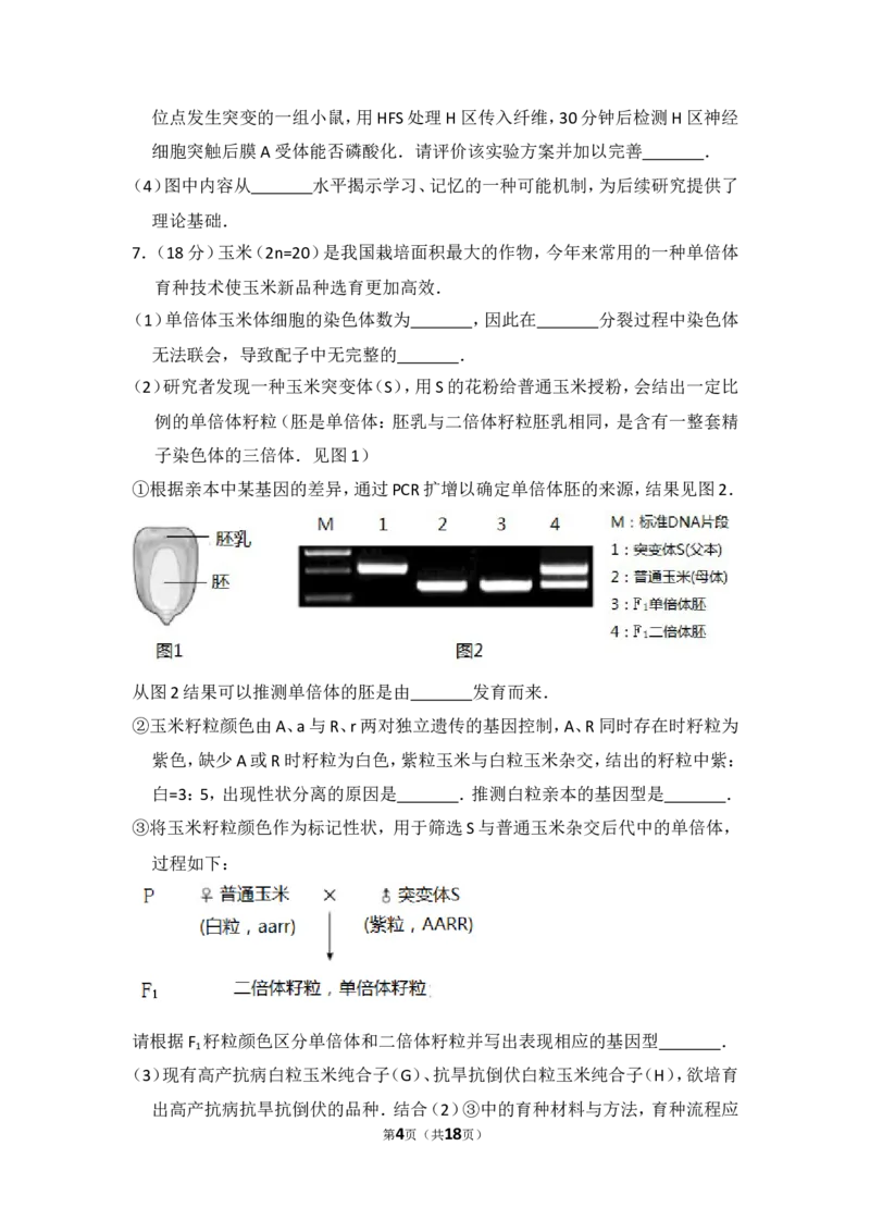《2017年北京市高考生物试卷（含解析版）(1)_高考一二三轮复习_生物_2027年高考生物专项_2008年-2026年生物高考真题-G427_2008-2020年高考_地方卷_北京高考生物08-21_A4word版》第4页预览