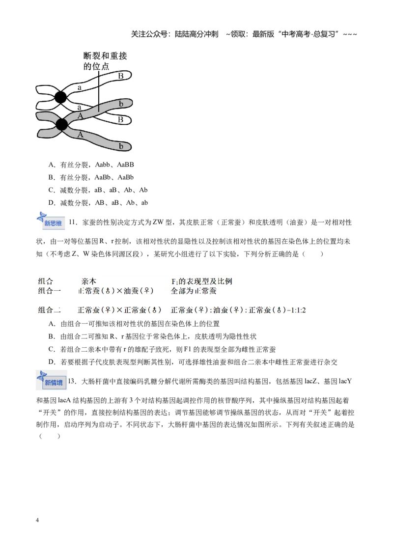 《高考生物一轮复习检测卷（安徽专用）（考试版）_06-生物-高考总复习_一轮复习_2026年-生物高考一轮复习_2026年高考生物一轮课件+讲义+练习（安徽专用）-G326》第4页预览