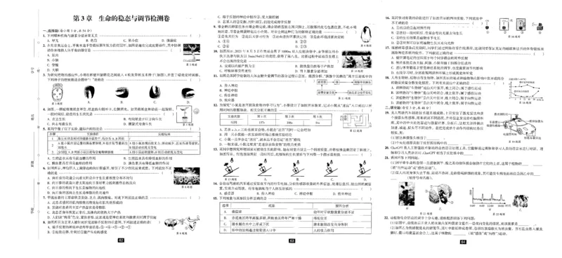 《2026秋科学九上册励耘新同步试卷+答案-A3_2026秋初中教辅合集_2027《励耘新同步》9上科学（浙教版）》第7页预览