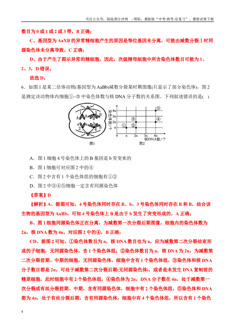 《（消灭易错）遗传与变异难点易错（教师版）（5大题组）_06-生物-高考总复习_专项复习_2025年_2025年高考生物考试易错题（新高考通用）》第4页预览
