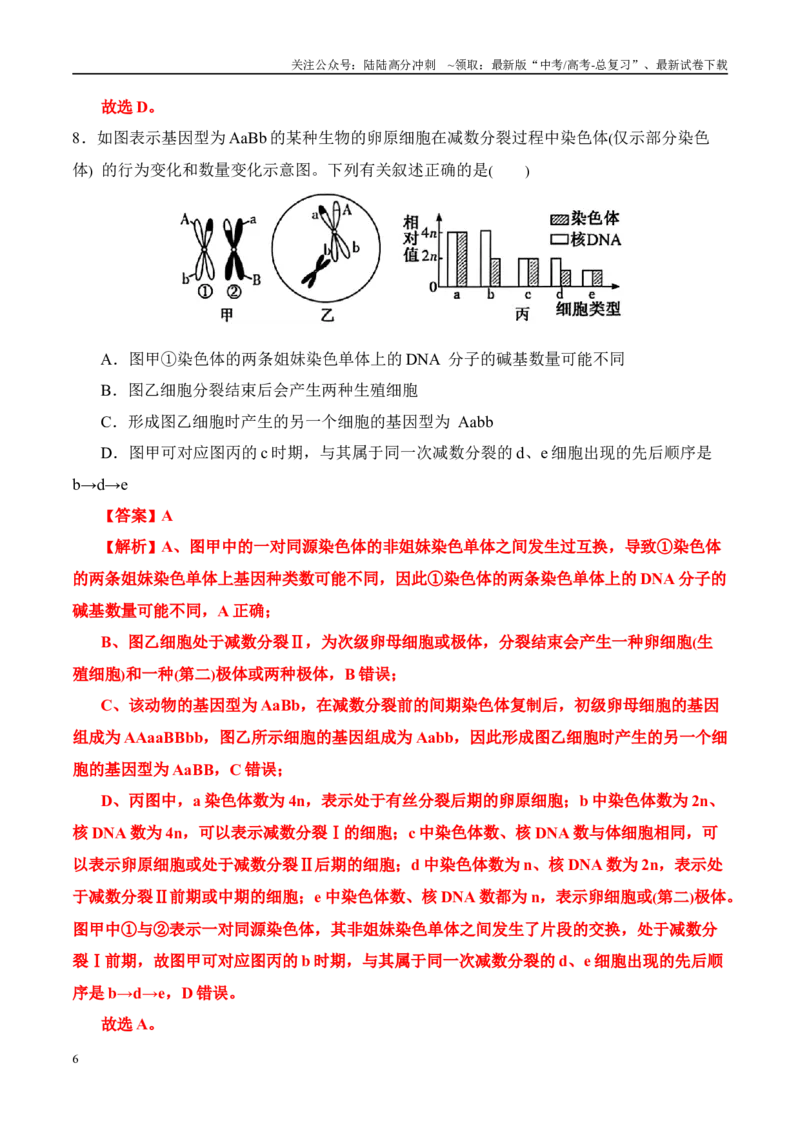 《（消灭易错）遗传与变异难点易错（教师版）（5大题组）_06-生物-高考总复习_专项复习_2025年_2025年高考生物考试易错题（新高考通用）》第6页预览