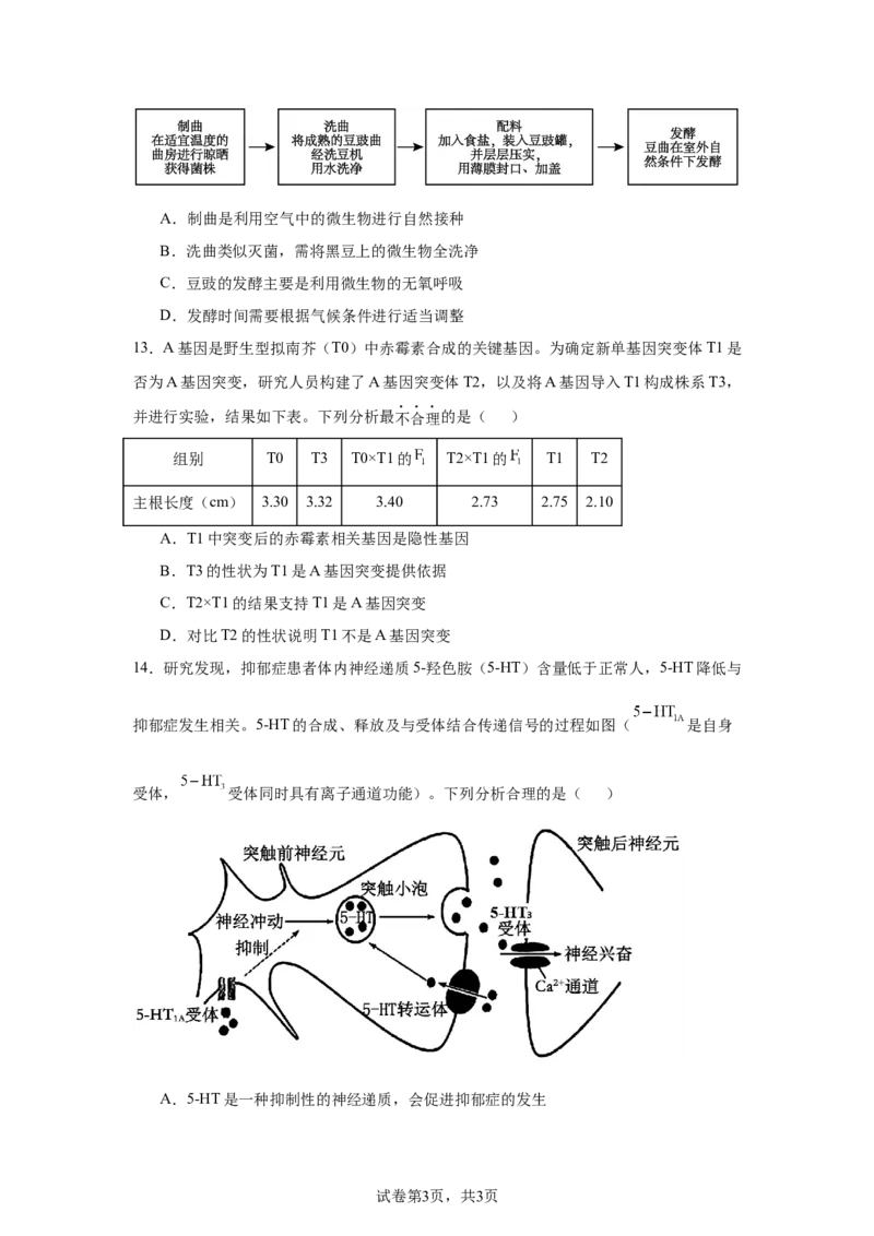 《20_广东省2025届普通高中毕业班第二次调研考试生物试卷_2026版教学资源包_202653高考总复习A版_新高考_生物_教师A版2026年.新高考版.生物.53_优质模拟题精选（Word）_1_资源拓展》第3页预览