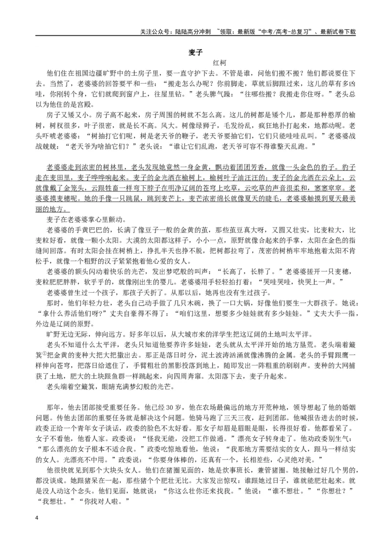 《高考小说核心考点语言艺术_二轮复习_2024年_2024年高考语文二轮复习核心考点讲与练_资料》第4页预览