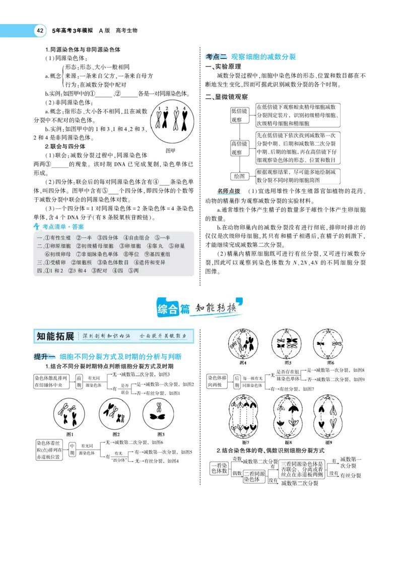 《1_22版专题９　遗传的细胞基础(1)_2023版教学资源包_2023版新高考版选考总复习生物5·3A版_9_专题九遗传的细胞基础_7_专题考点精析》第2页预览