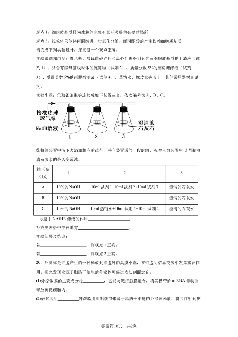 《24_生物-2025届新高三开学摸底考试卷（北京专用）_2026版教学资源包_202653高考总复习A版_新高考_生物_教师A版2026年.新高考版.生物.53_优质模拟题精选（Word）_1_资源拓展》第10页预览