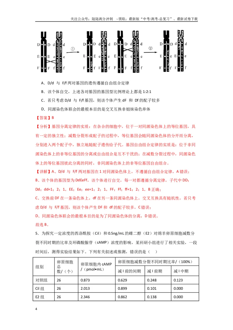 《黄金卷04（解析版）-2024年高考生物模拟卷（黑龙江专用）_06-生物-高考总复习_一轮复习_2024年_2024年高考生物一模拟卷（新高考七省专用）》第4页预览