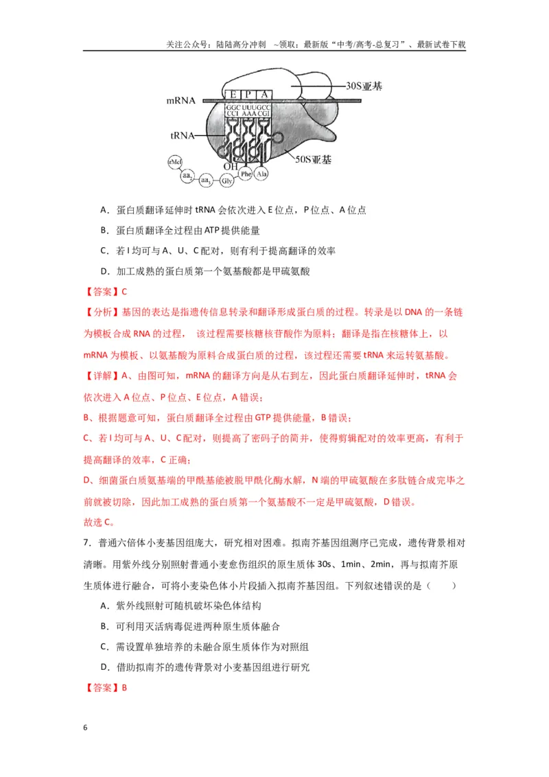《黄金卷04（解析版）-2024年高考生物模拟卷（黑龙江专用）_06-生物-高考总复习_一轮复习_2024年_2024年高考生物一模拟卷（新高考七省专用）》第6页预览