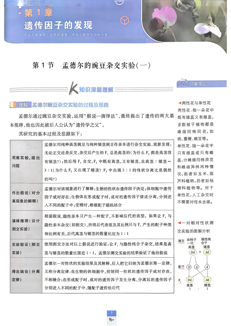 《2026版高中必刷题生物必修2人教版-狂K重点-完整_2027高中必刷题_必刷题2027_2027高一高二必刷题_生物_生物必修2完整版》第1页预览