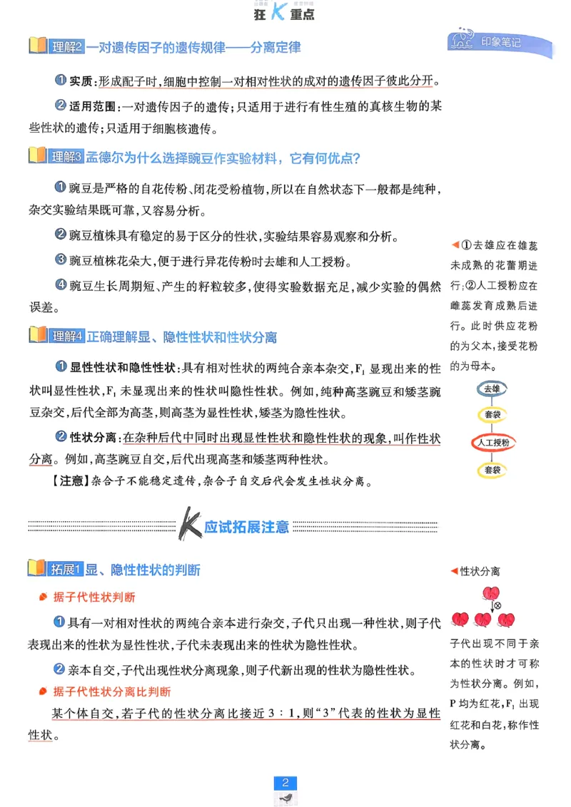 《2026版高中必刷题生物必修2人教版-狂K重点-完整_2027高中必刷题_必刷题2027_2027高一高二必刷题_生物_生物必修2完整版》第2页预览