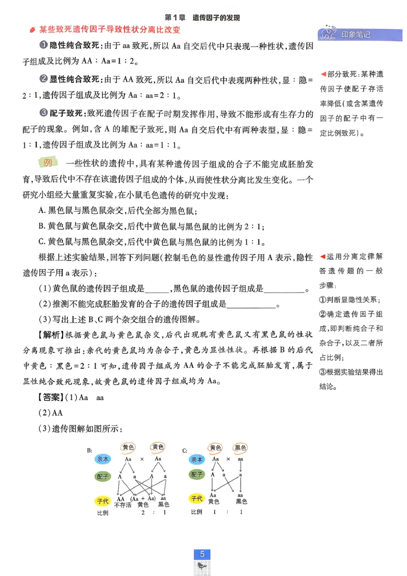 《2026版高中必刷题生物必修2人教版-狂K重点-完整_2027高中必刷题_必刷题2027_2027高一高二必刷题_生物_生物必修2完整版》第5页预览