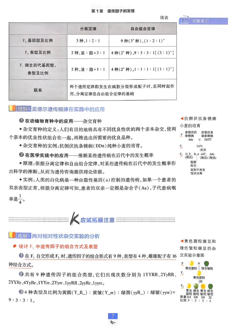 《2026版高中必刷题生物必修2人教版-狂K重点-完整_2027高中必刷题_必刷题2027_2027高一高二必刷题_生物_生物必修2完整版》第7页预览