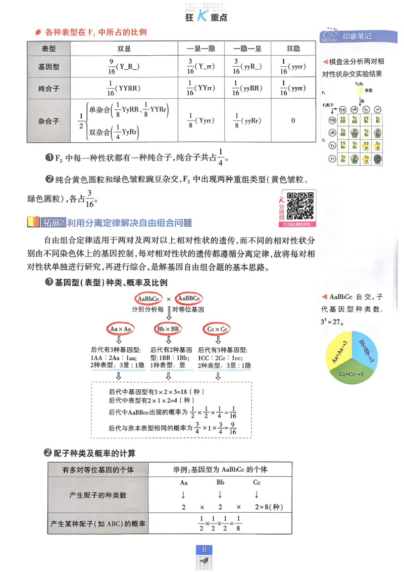 《2026版高中必刷题生物必修2人教版-狂K重点-完整_2027高中必刷题_必刷题2027_2027高一高二必刷题_生物_生物必修2完整版》第8页预览