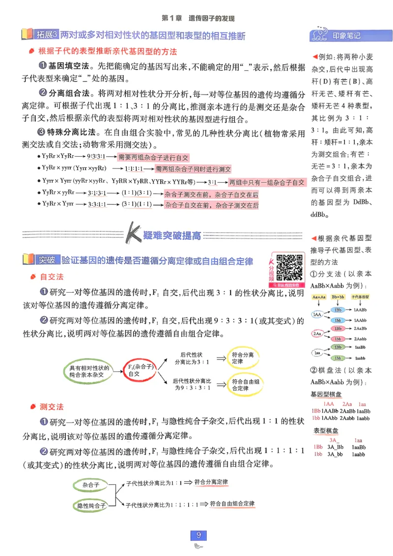 《2026版高中必刷题生物必修2人教版-狂K重点-完整_2027高中必刷题_必刷题2027_2027高一高二必刷题_生物_生物必修2完整版》第9页预览