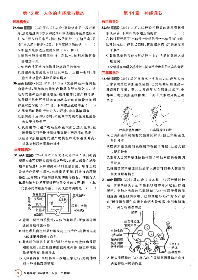 《2026新高考53A生物多选+不定项选择(赠送)_2026版教学资源包_202653高考总复习A版_新高考_生物_学生A版2026年.新高考版.生物.53》第8页预览