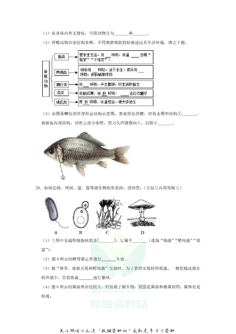 《2018上海黄浦中考生物真题及答案_初高中资料库_初中资料库（转存避免链接过期失效）_初中生物》第8页预览