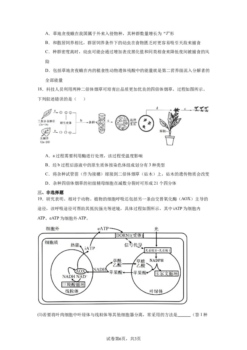 《23_河北省“五个一”名校联盟2025届高三上学期第一次联考生物试卷_2026版教学资源包_202653高考总复习A版_新高考_生物_教师A版2026年.新高考版.生物.53_优质模拟题精选（Word）》第6页预览