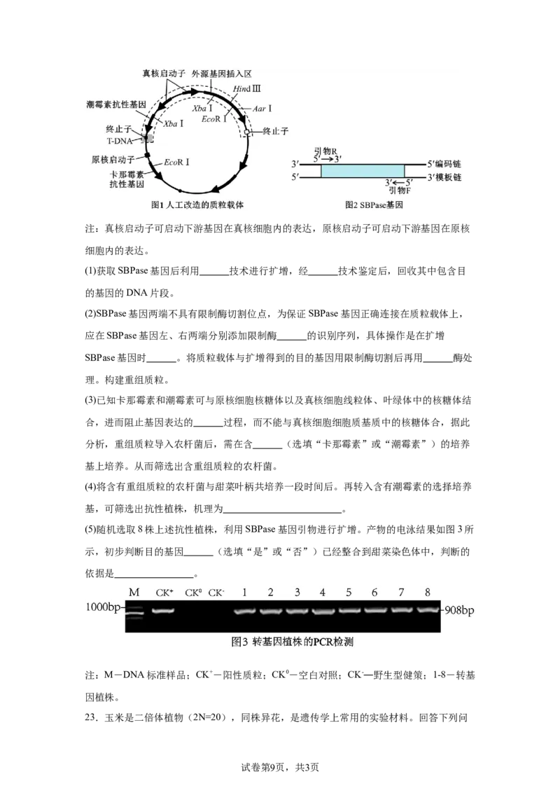《23_河北省“五个一”名校联盟2025届高三上学期第一次联考生物试卷_2026版教学资源包_202653高考总复习A版_新高考_生物_教师A版2026年.新高考版.生物.53_优质模拟题精选（Word）》第9页预览