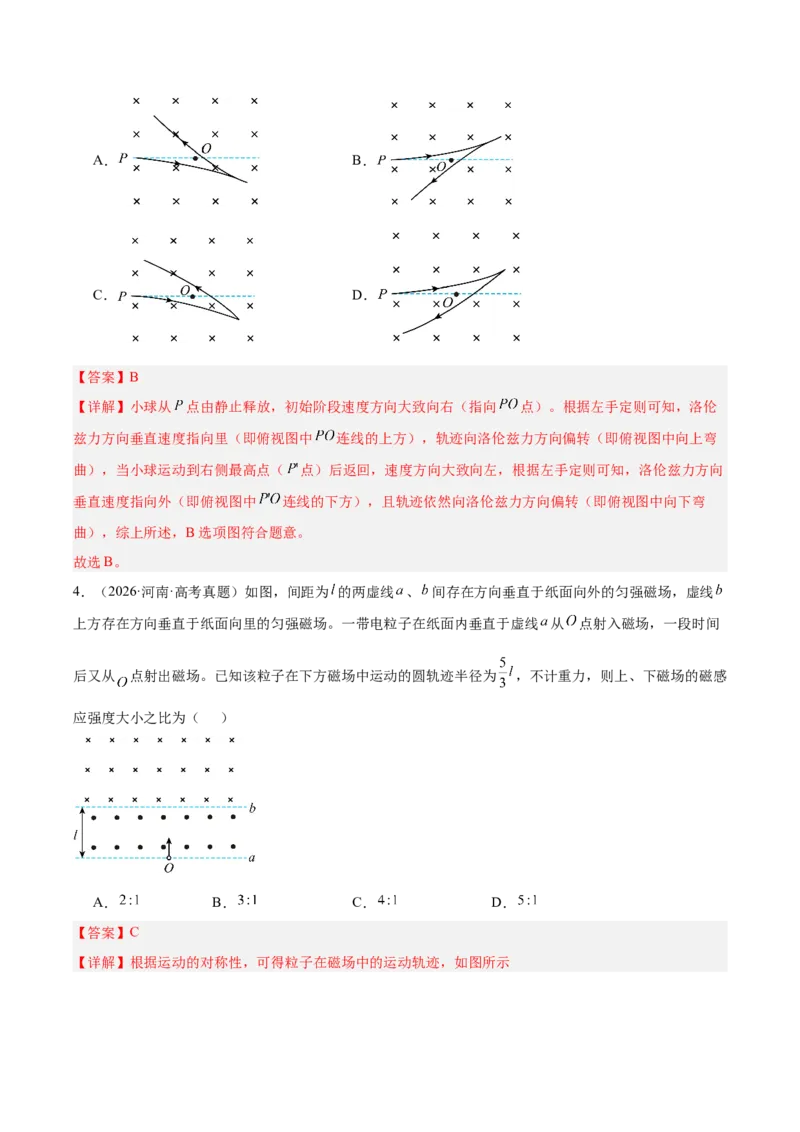 《专题10磁场（3年汇编）（全国通用）（教师版）_地理_2027年高考地理专项复习_三年（2024-2026）高考物理真题分类汇编（全国通用）-C420》第3页预览