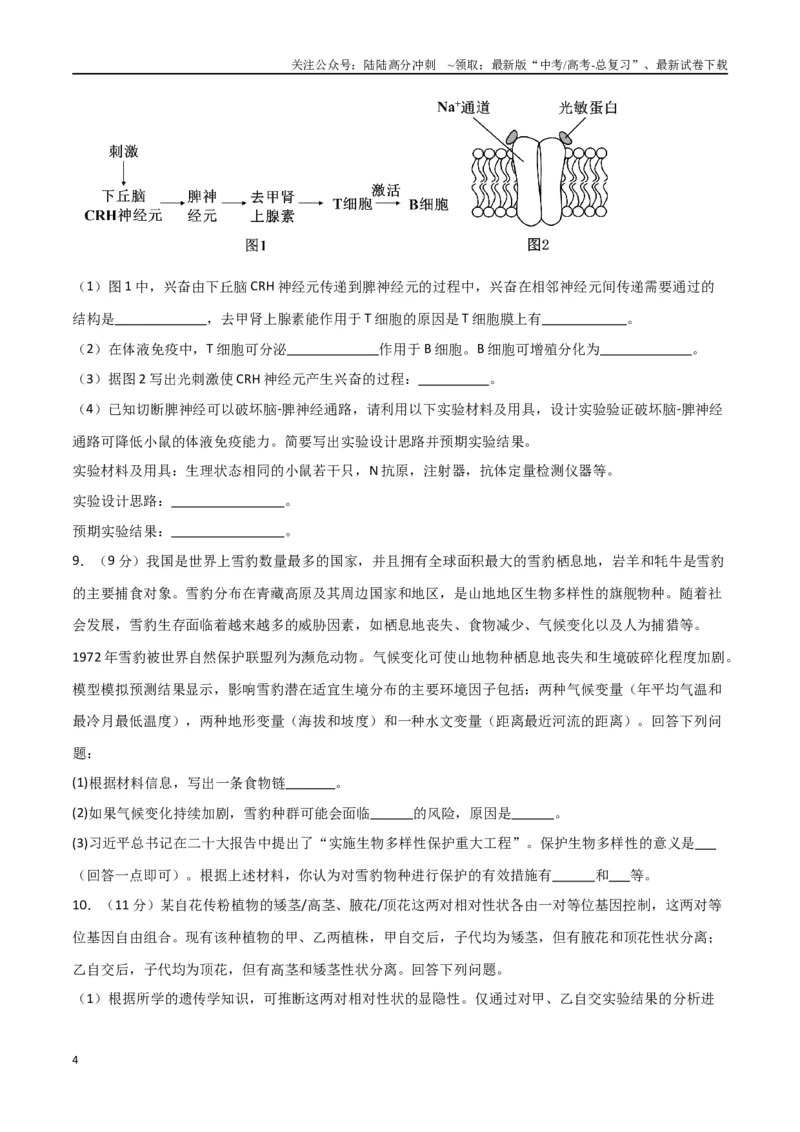 《黄金卷04（考试版）-2024年高考生物模拟卷（老教材）（全国卷专用）_06-生物-高考总复习_一轮复习_2024年_2024年高考生物一模拟卷（全国卷专用）》第4页预览