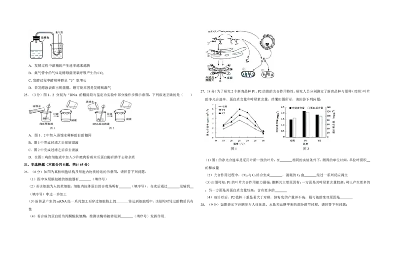 《2015年江苏省高考生物试卷_高考一二三轮复习_生物_2026年-生物高考专项复习_2008年-2025年生物高考真题_2008-2020年高考_地方卷_江苏高考生物07-20_A3word版》第4页预览
